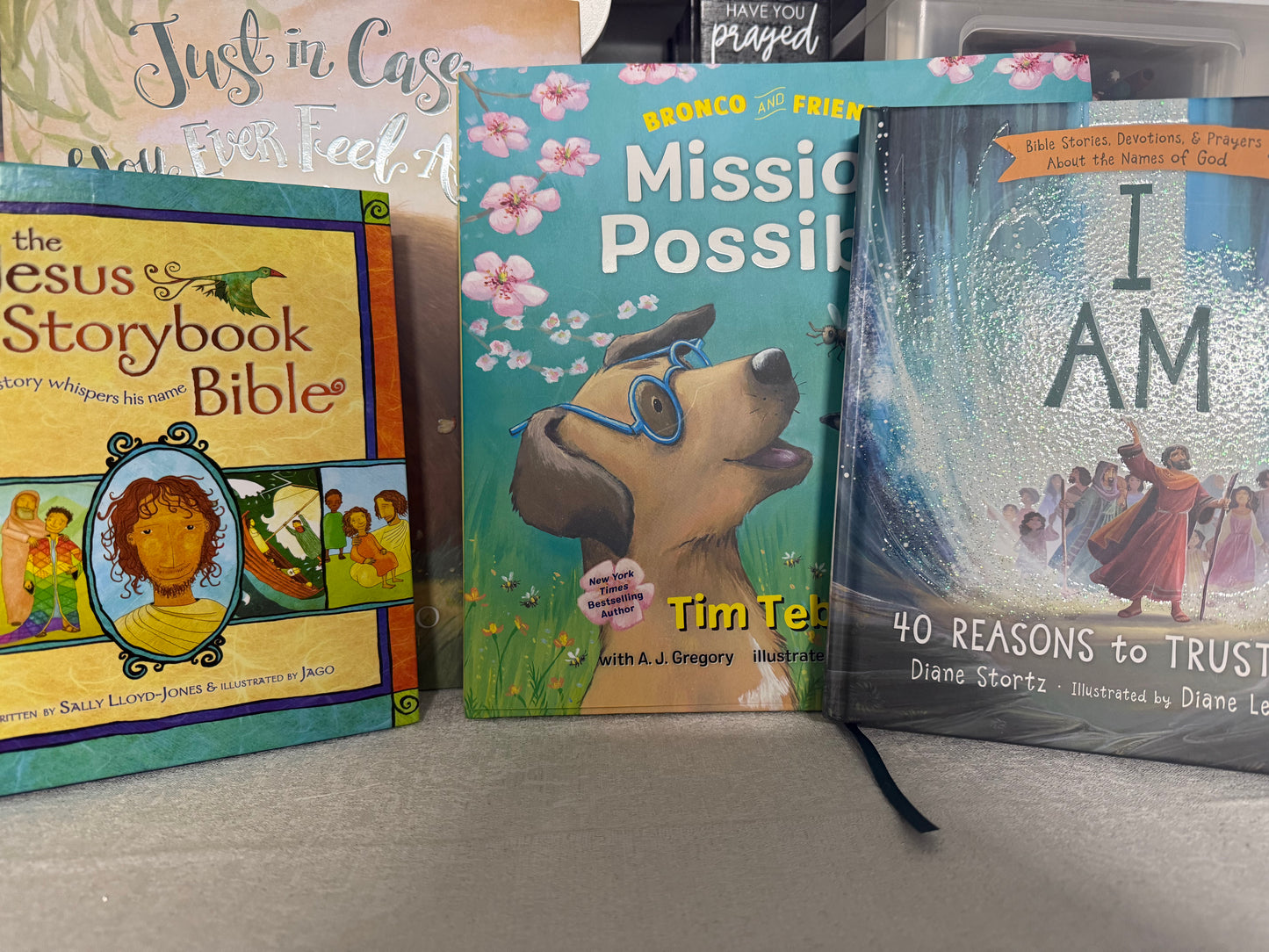Children’s Mystery Book Bundle